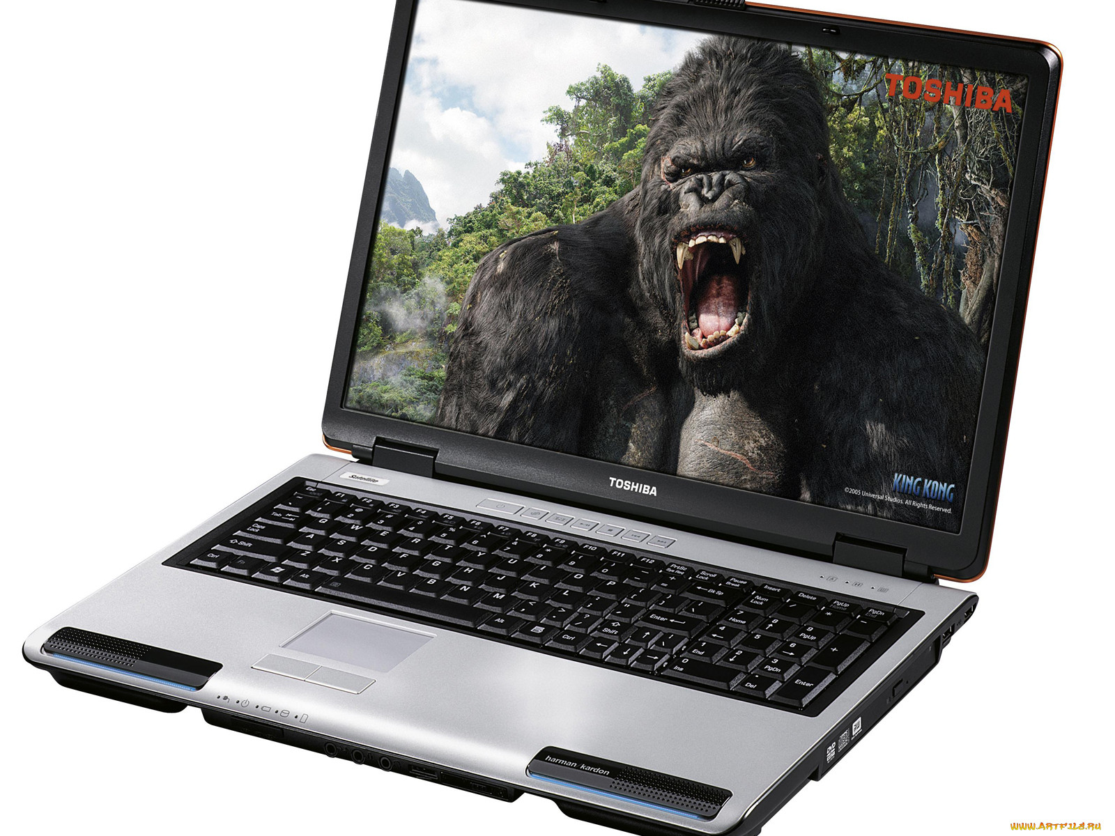 toshiba, 